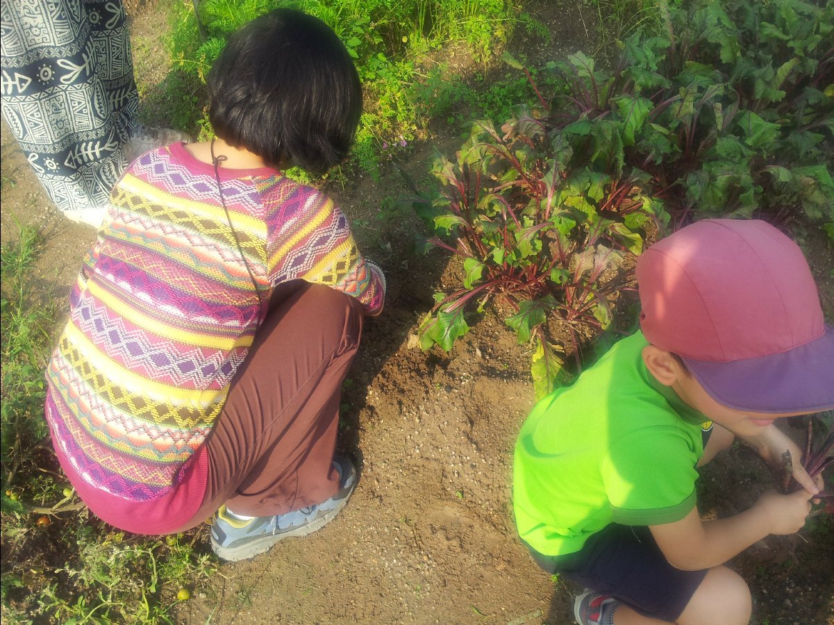 20120422Organic Farm21